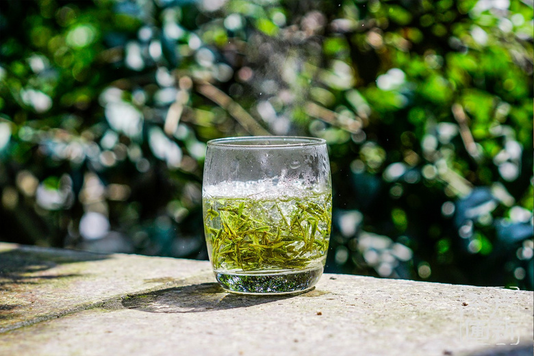他50歲辭職去富陽開荒種茶,種的龍井竟獲“食品界奧斯卡”