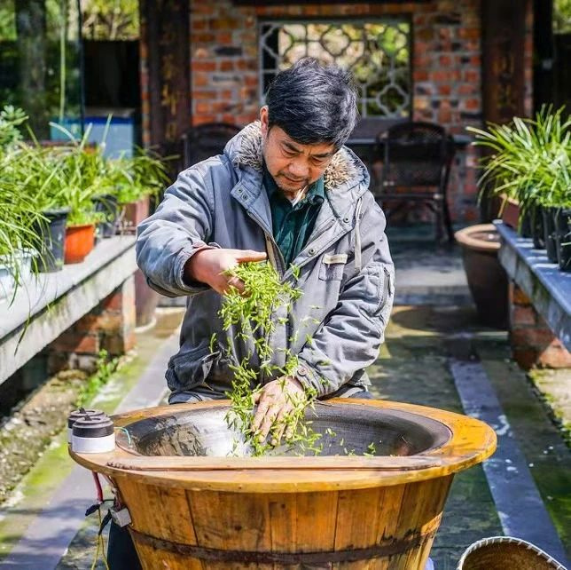 他50歲辭職去富陽開荒種茶,種的龍井竟獲“食品界奧斯卡”