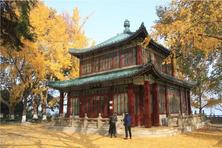 不能遠游的日子里,我在南京探索了6家有趣兒的書店……
