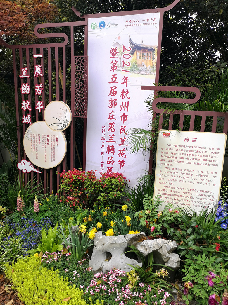 2021郭庄兰花展，展示“耧斗菜”--被名字耽误的美花。