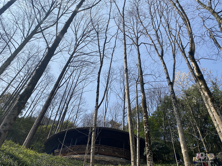 游根雕根宫佛国，赏别样根雕
