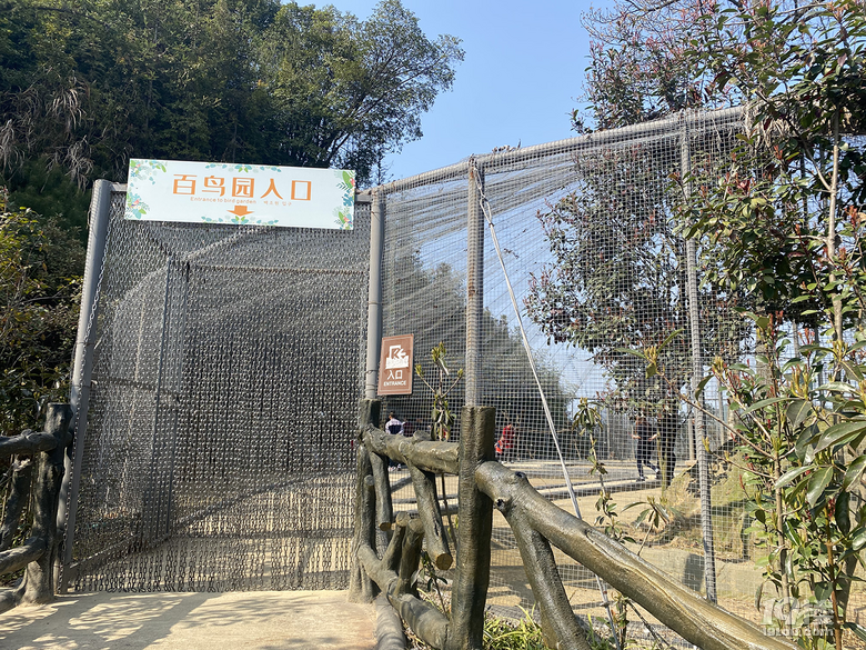 游根雕根宫佛国，赏别样根雕