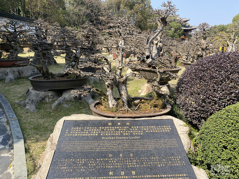 游根雕根宫佛国，赏别样根雕