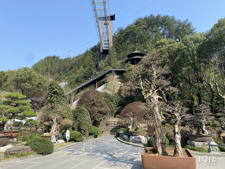 游根雕根宫佛国，赏别样根雕