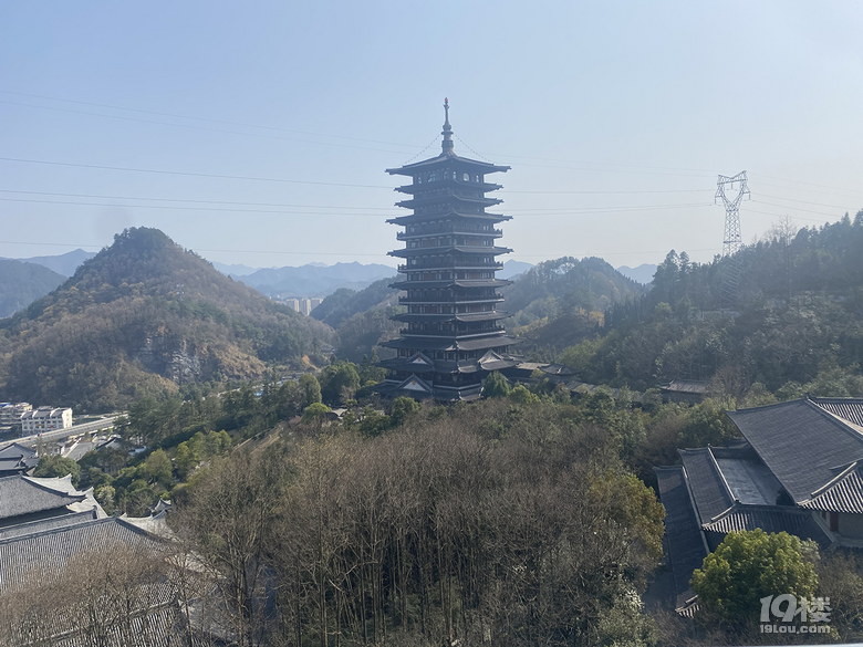 游根雕根宫佛国，赏别样根雕