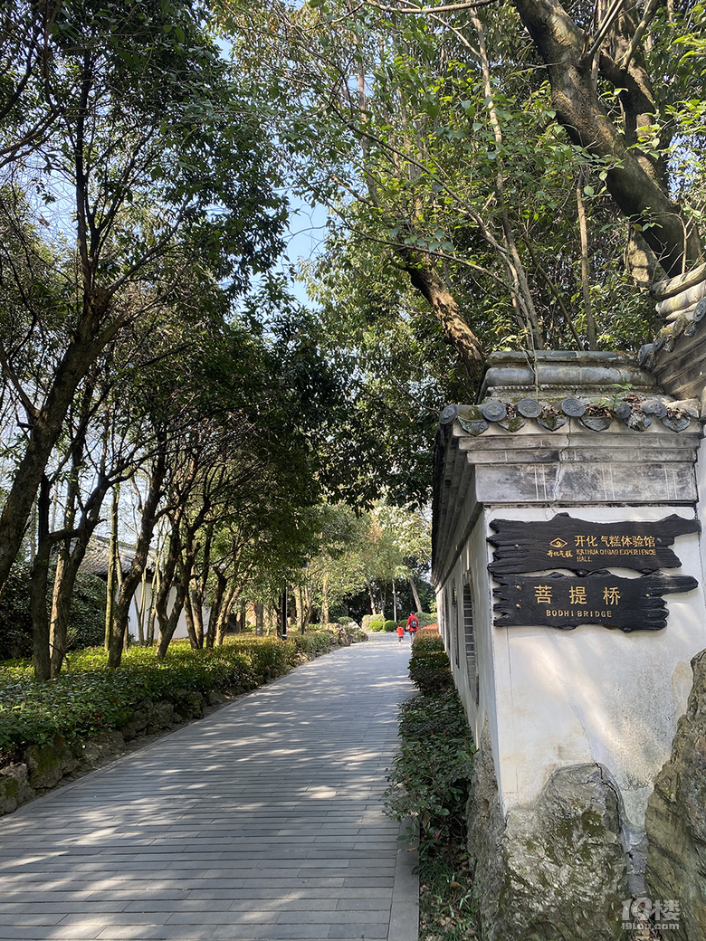 游根雕根宫佛国，赏别样根雕