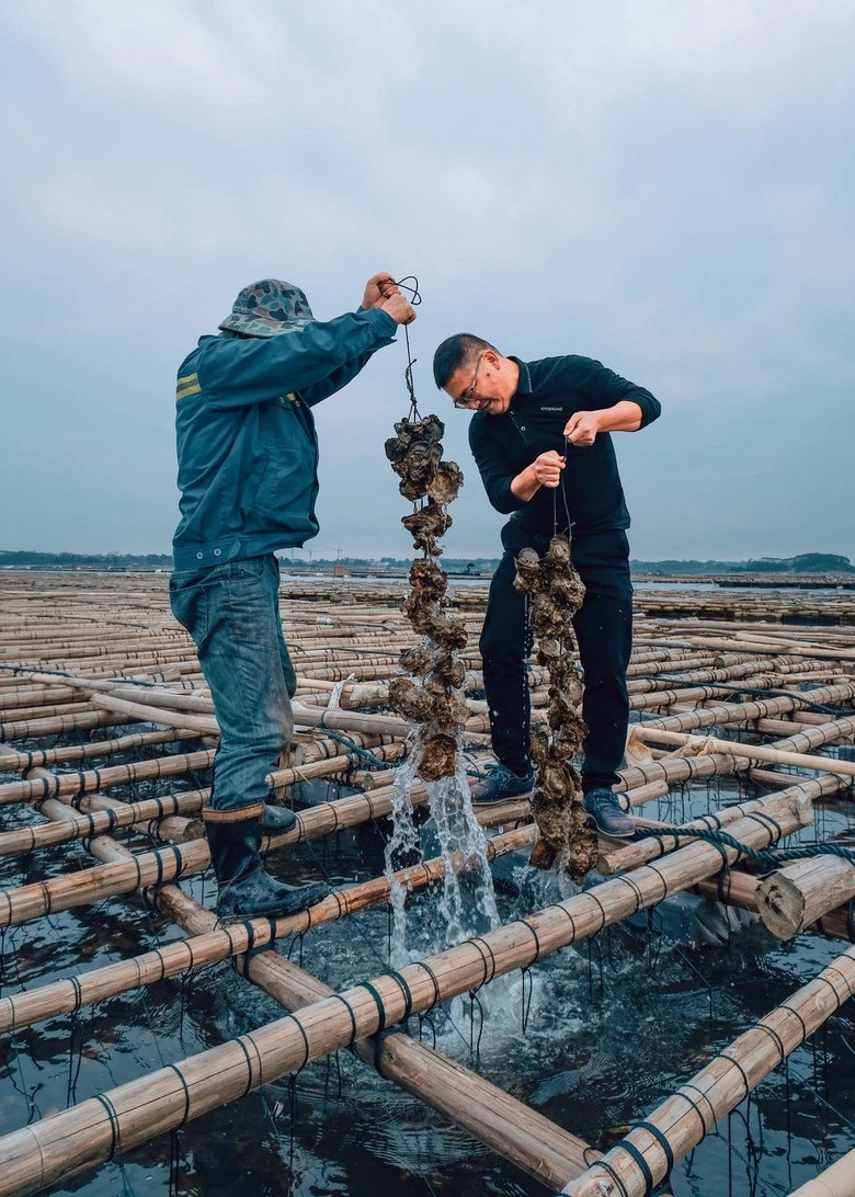4月,老子不上班了,三月三請(qǐng)假去廣西!