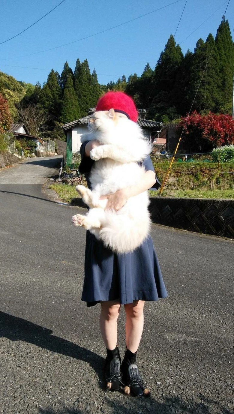 岛国妹子晒出一整年的"抱猫日常",结果…被网友们笑惨了!