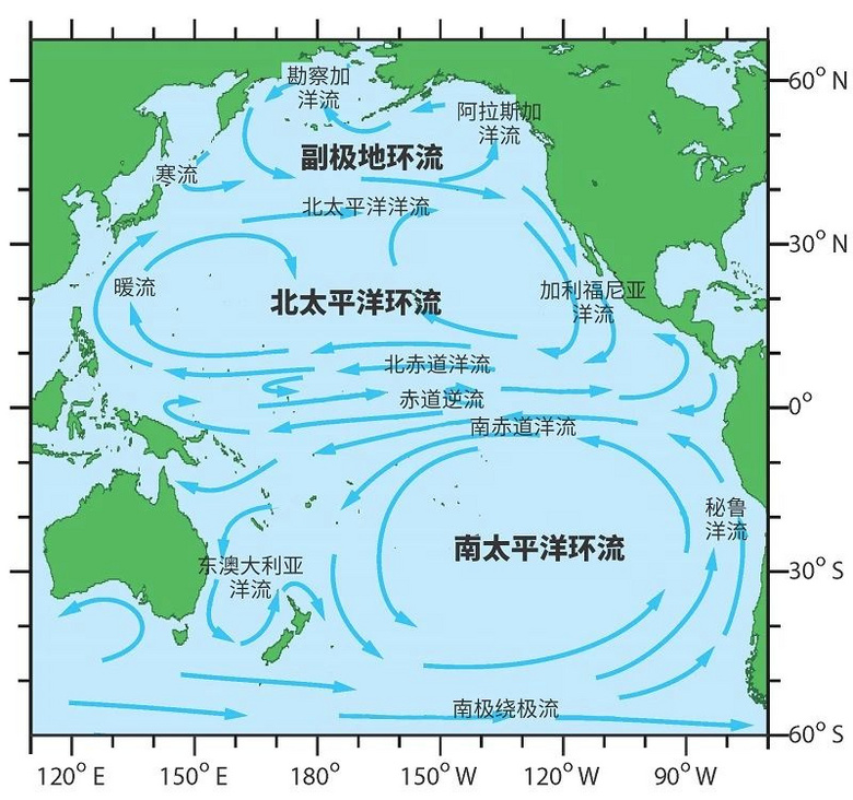 日本排到海里的核污水,会被我们一口一口吃回来吗?