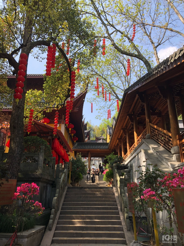 法喜寺,受年轻人欢迎的千年古寺