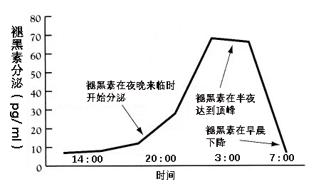 睡覺時的一個小細(xì)節(jié),可能會讓你長胖