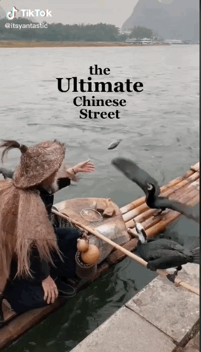 ЇĻˣ@G12|Wȫ綼ڌW