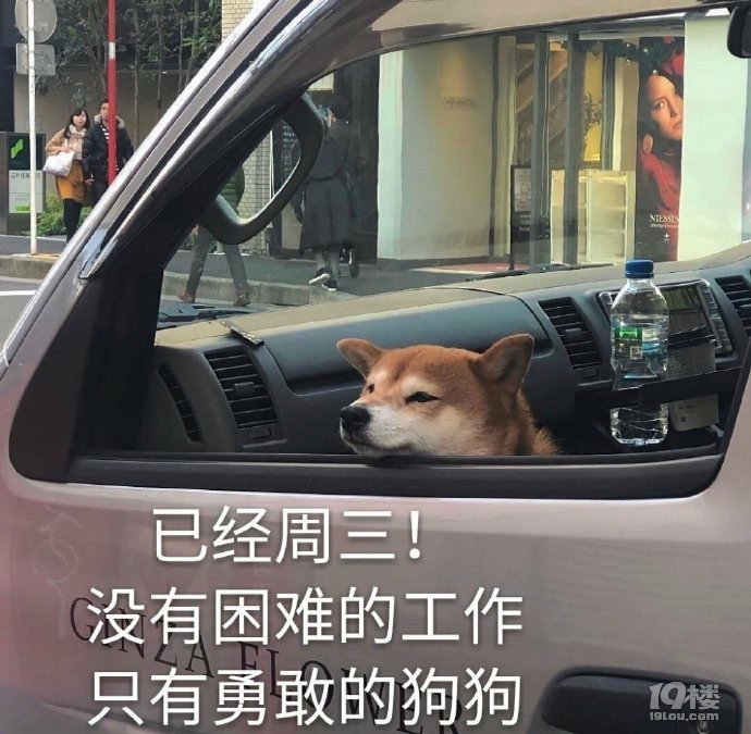 没有困难的工作只有勇敢的狗勾表情