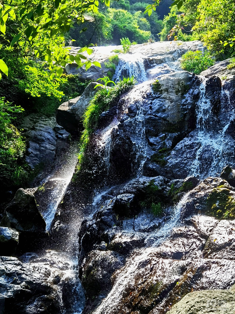 野水寻溪路,古道踏晚春 --- 游岩下石头村,走普通岭,苍岭古道