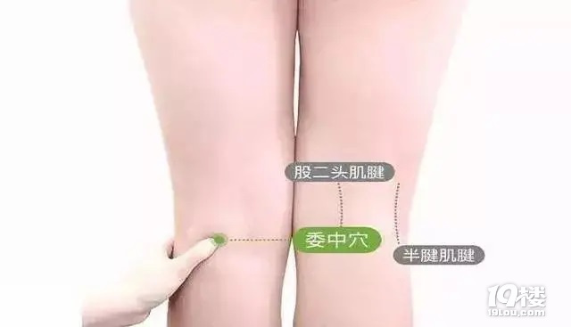 傀CCB(yng)PI