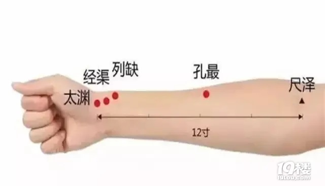 傀CCB(yng)PI