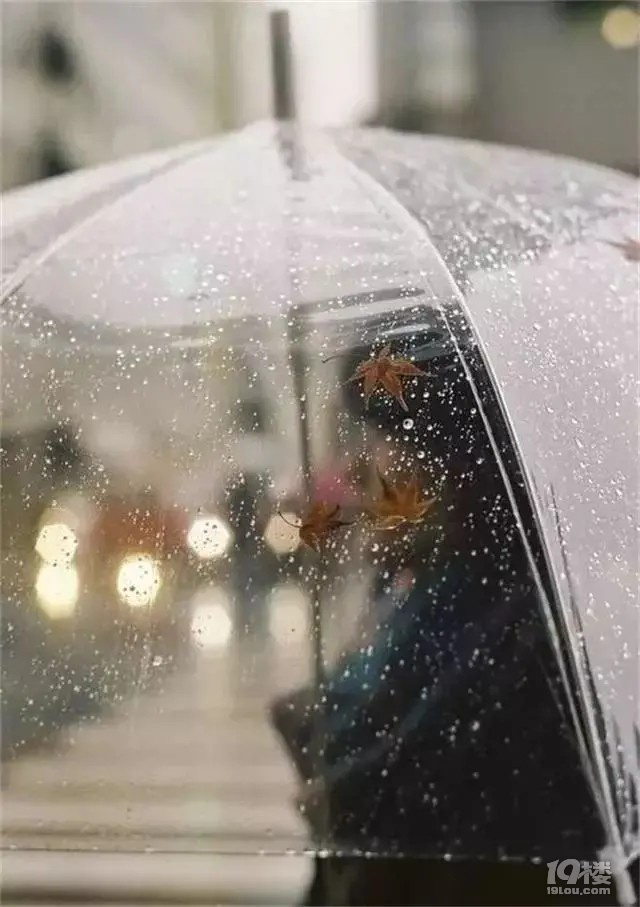 我这里下雨[表情]了,想起了唯一一个可以陪我淋雨的朋友,立马