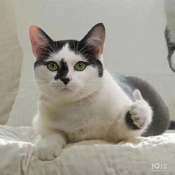 周三了周六还会远吗