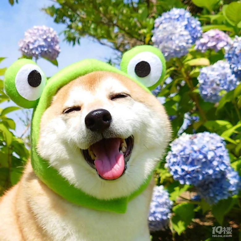 终于到周末咯表情