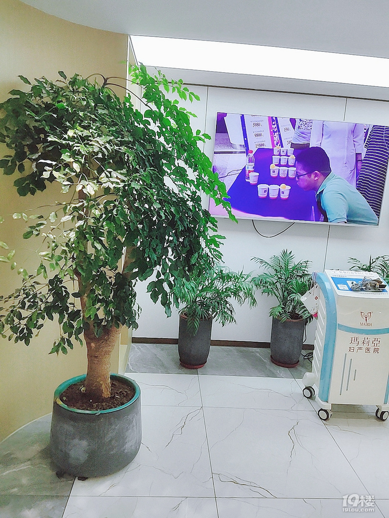 NT檢查完成,寶貝,獎勵你一瓶旺仔牛奶