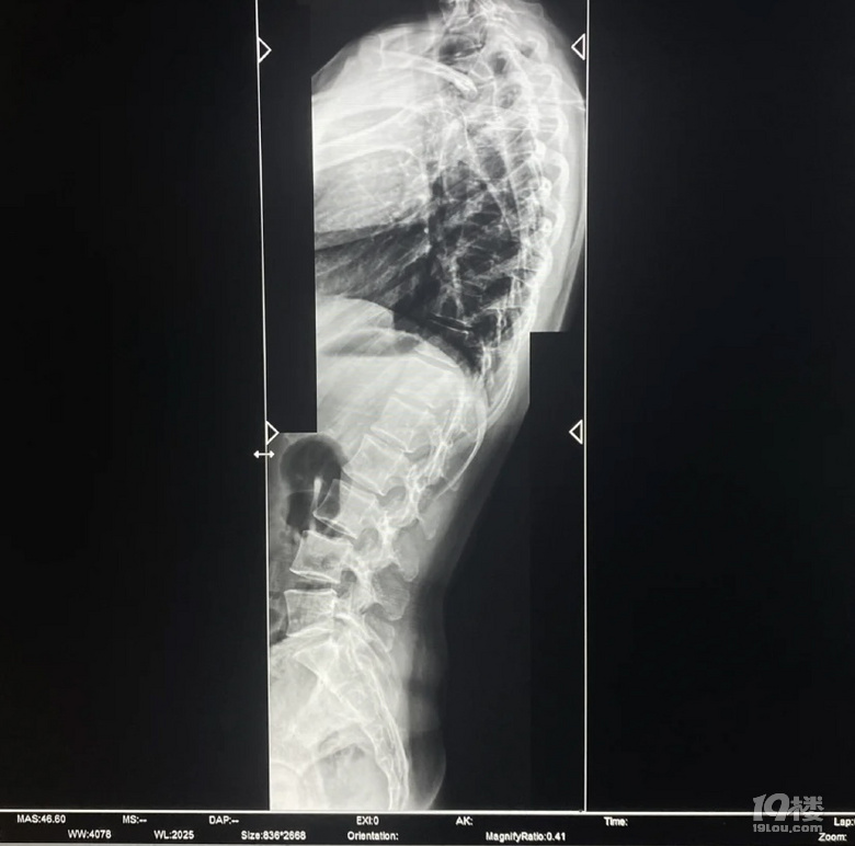 (c)i׵׃ֱҸXԼU