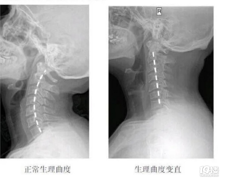 (c)i׵׃ֱҸXԼU