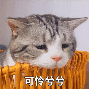 @(g)Ҋy֮[ƫŮ