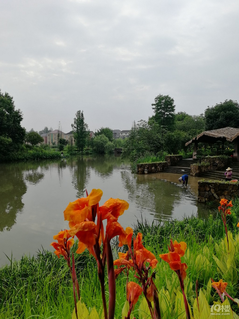 兰里景区位于杭州市西湖区三墩镇,总面积为45平方公里,景区