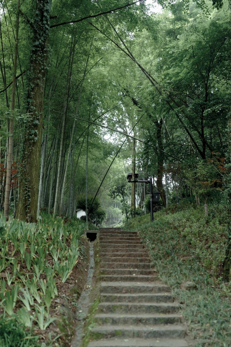 花了三天在西湖找“碑”,告訴你西湖最隱秘的角落都在哪!