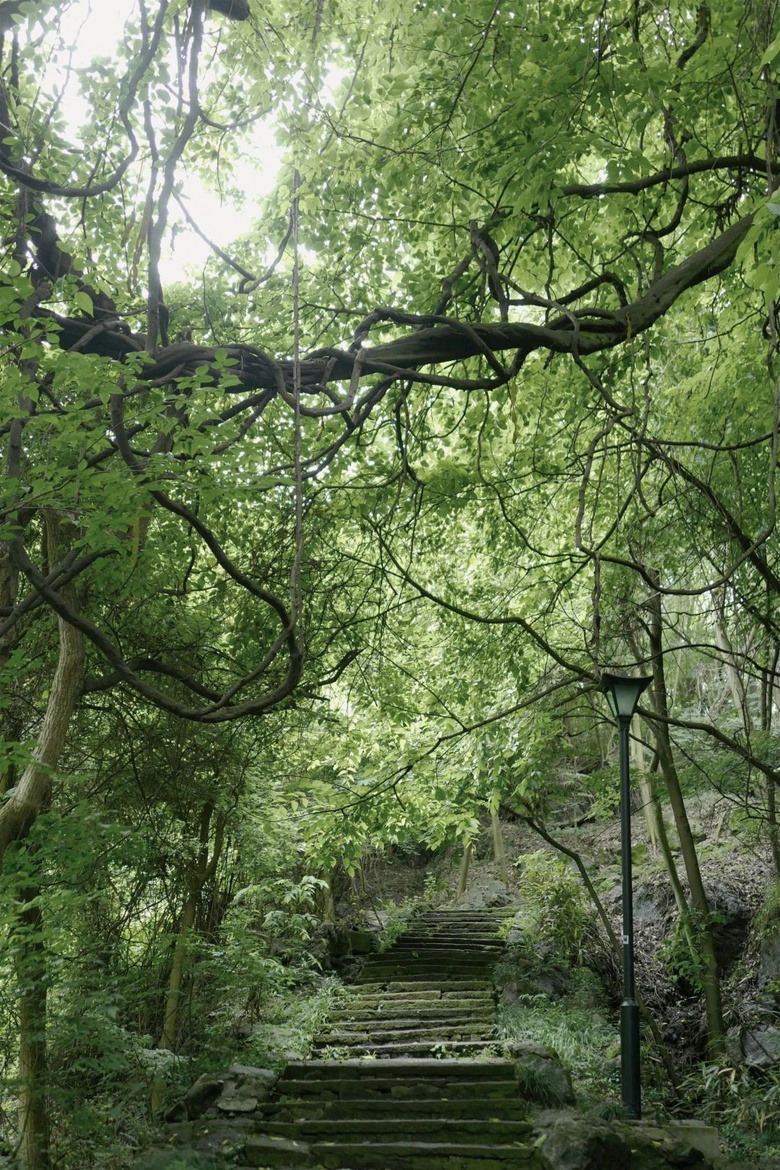 花了三天在西湖找“碑”,告訴你西湖最隱秘的角落都在哪!