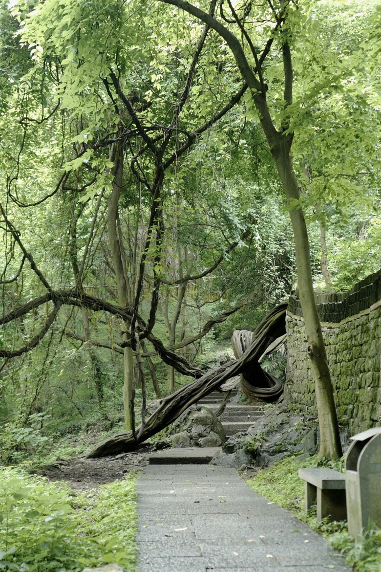 花了三天在西湖找“碑”,告訴你西湖最隱秘的角落都在哪!