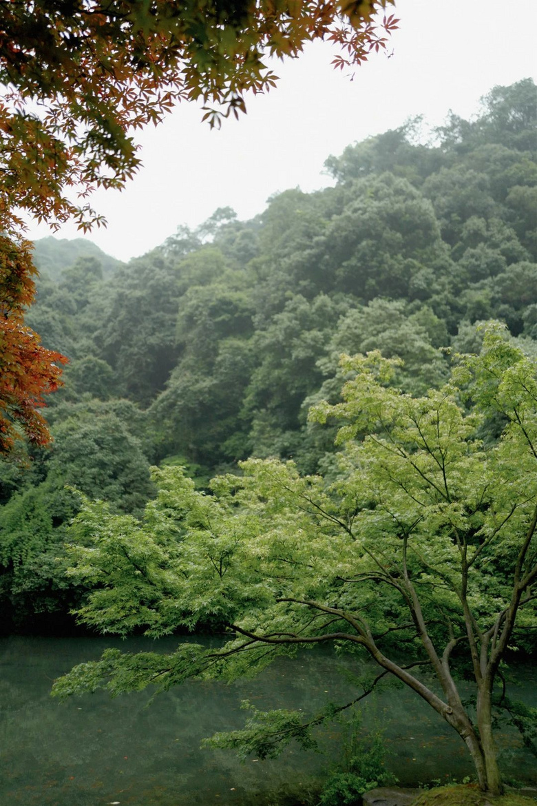 花了三天在西湖找“碑”,告訴你西湖最隱秘的角落都在哪!