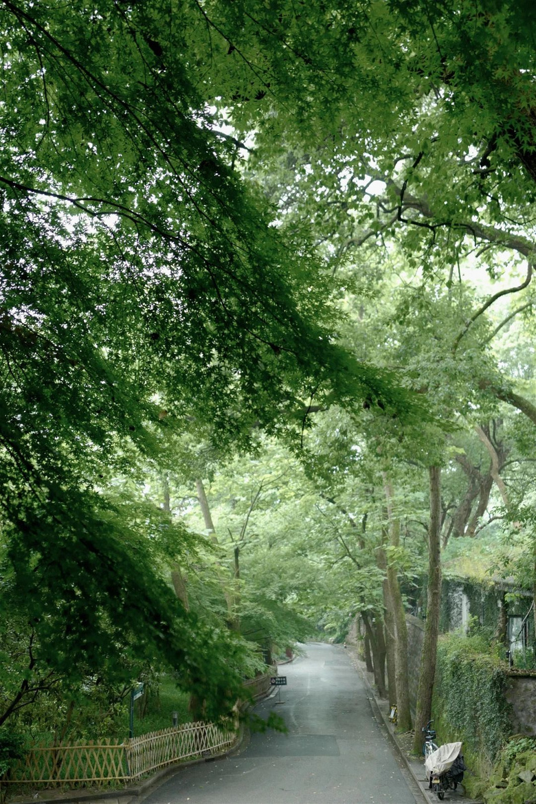 花了三天在西湖找“碑”,告訴你西湖最隱秘的角落都在哪!