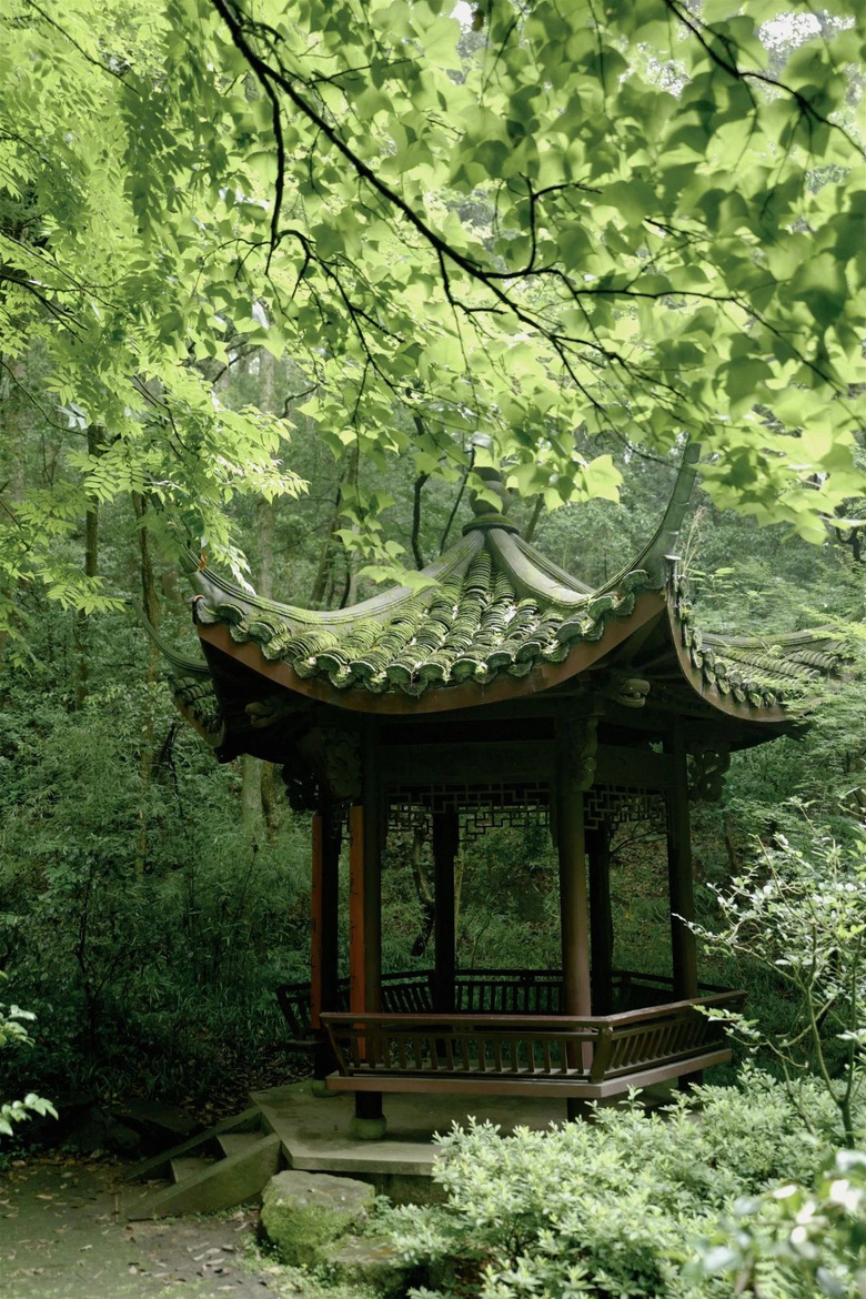 花了三天在西湖找“碑”,告訴你西湖最隱秘的角落都在哪!