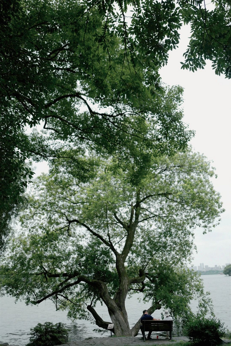 花了三天在西湖找“碑”,告訴你西湖最隱秘的角落都在哪!