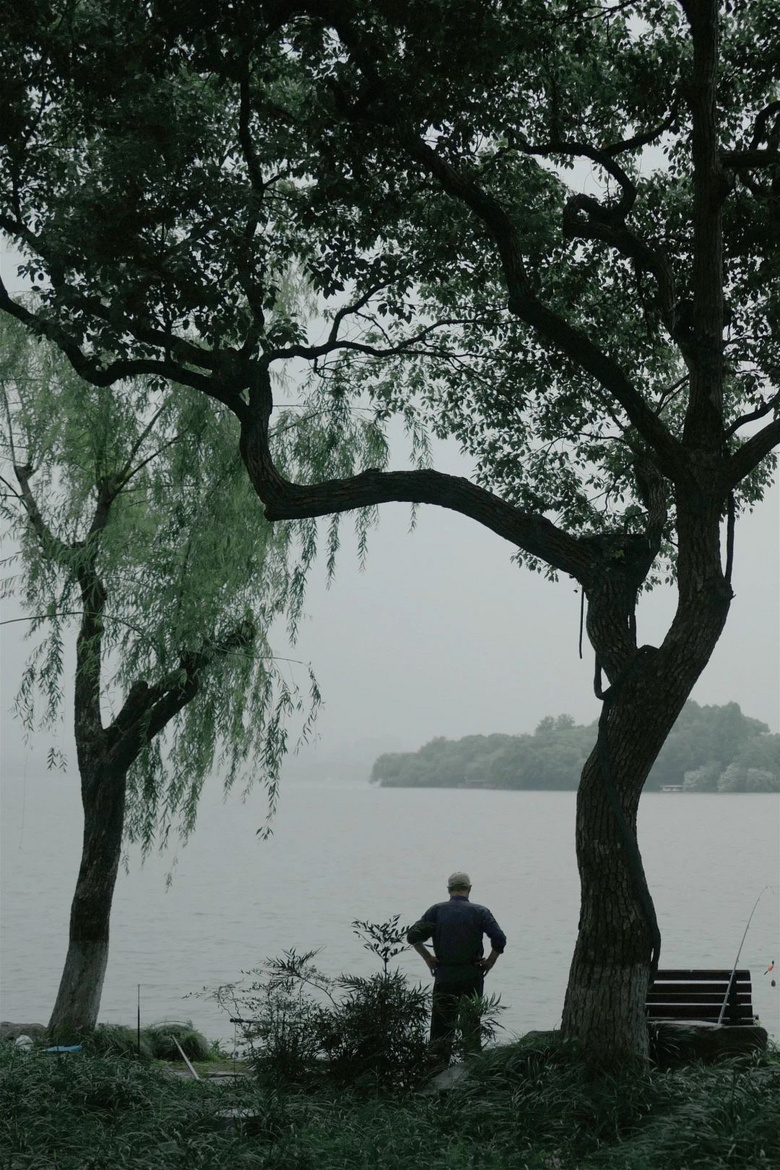 花了三天在西湖找“碑”,告訴你西湖最隱秘的角落都在哪!