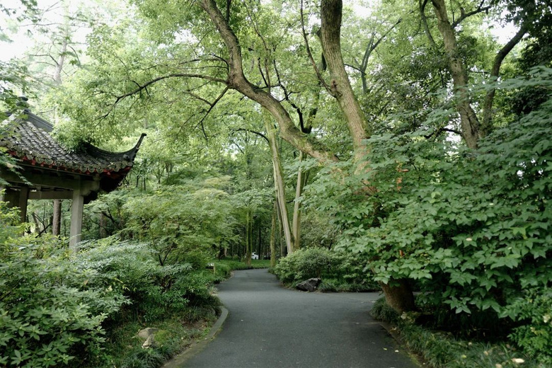 花了三天在西湖找“碑”,告訴你西湖最隱秘的角落都在哪!
