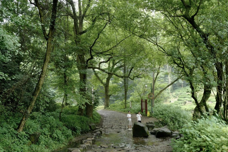 花了三天在西湖找“碑”,告訴你西湖最隱秘的角落都在哪!