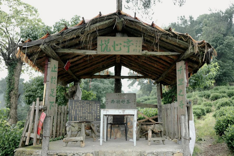 花了三天在西湖找“碑”,告訴你西湖最隱秘的角落都在哪!