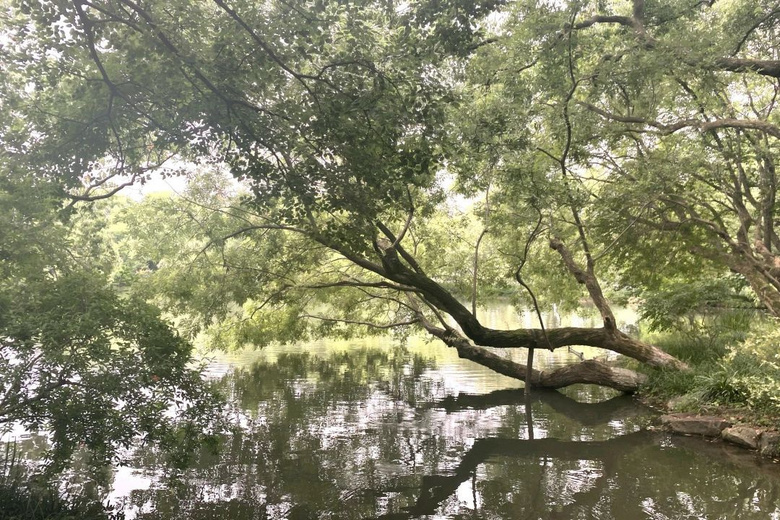 花了三天在西湖找“碑”,告訴你西湖最隱秘的角落都在哪!