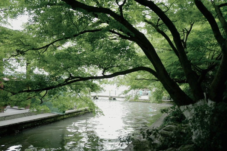 花了三天在西湖找“碑”,告訴你西湖最隱秘的角落都在哪!