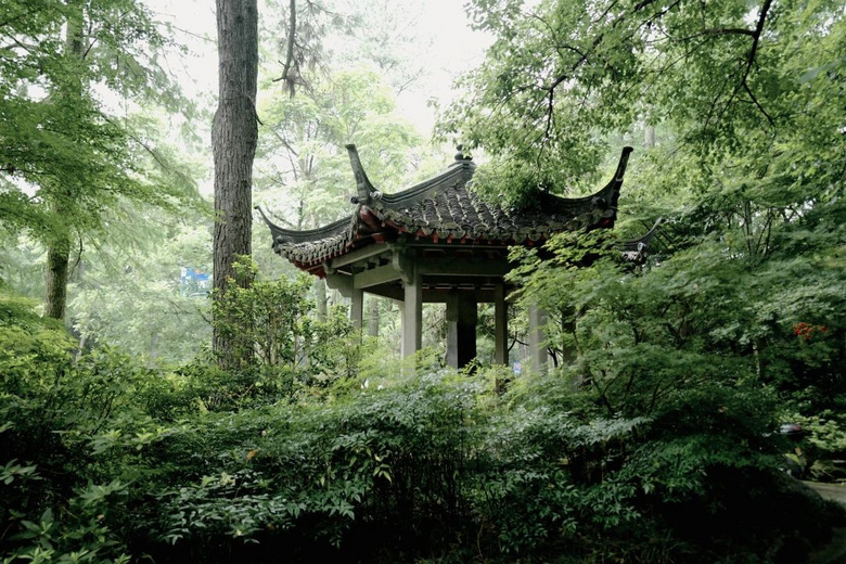 花了三天在西湖找“碑”,告訴你西湖最隱秘的角落都在哪!