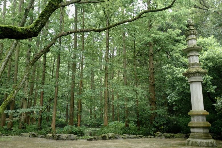 花了三天在西湖找“碑”,告訴你西湖最隱秘的角落都在哪!