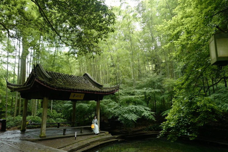 花了三天在西湖找“碑”,告訴你西湖最隱秘的角落都在哪!