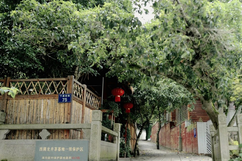 花了三天在西湖找“碑”,告訴你西湖最隱秘的角落都在哪!
