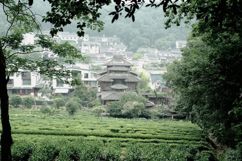 花了三天在西湖找“碑”,告訴你西湖最隱秘的角落都在哪!
