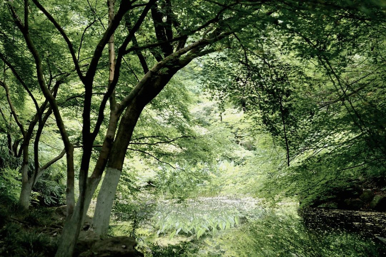 花了三天在西湖找“碑”,告訴你西湖最隱秘的角落都在哪!