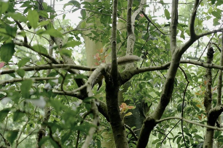 花了三天在西湖找“碑”,告訴你西湖最隱秘的角落都在哪!