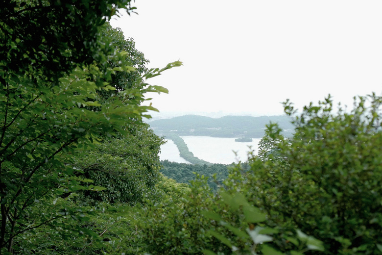 花了三天在西湖找“碑”,告訴你西湖最隱秘的角落都在哪!