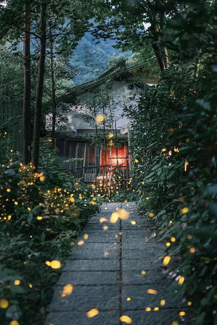 花了三天在西湖找“碑”,告訴你西湖最隱秘的角落都在哪!